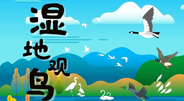 【獨立觀鳥一日營】走進白馬湖濕地，一起來探尋鳥兒的秘密